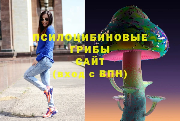 соль ск Алексин