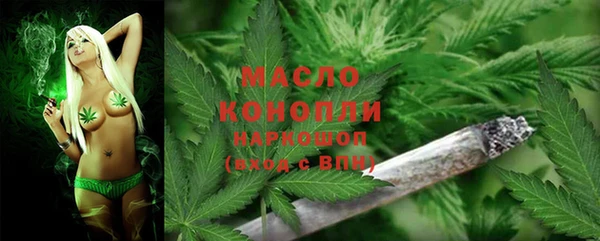 соль ск Алексин