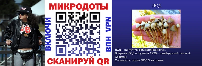 Галлюциногенные грибы мухоморы Цивильск